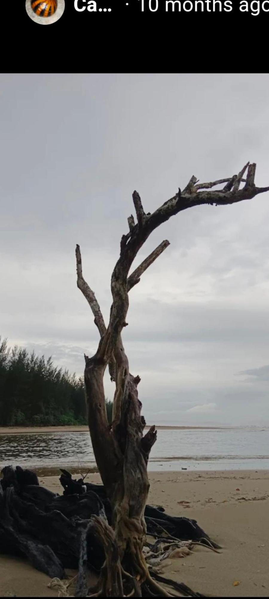 Вилла The Mangrove Sematan Экстерьер фото
