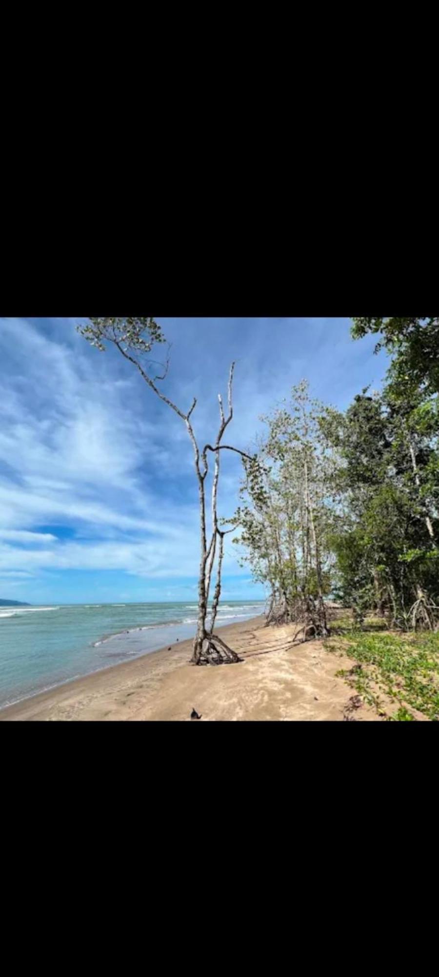 Вилла The Mangrove Sematan Экстерьер фото